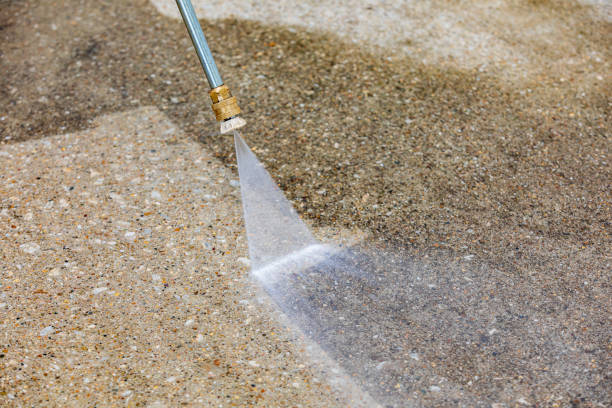 Reliable Frankford, DE Pressure washing Solutions